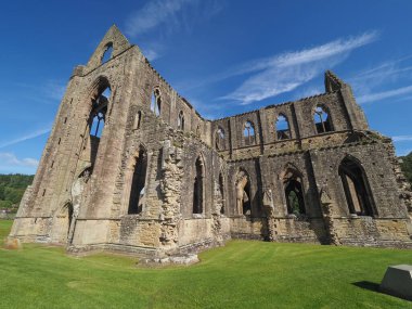 TINTERN, İngiltere - CIRCA SEPTEMBER 2019: Tintern Abbey (Galce Abaty Tyndyrn) harabeleri
