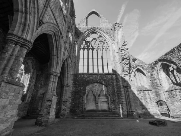 2018 Intersitern Circa September 2019 Tintern Abbey Welsh Abaty Tyndyrn — 스톡 사진