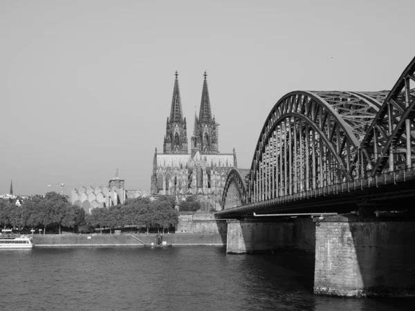 Koeln Alemanha Circa Agosto 2019 Koelner Dom Sankt Petrus Que — Fotografia de Stock