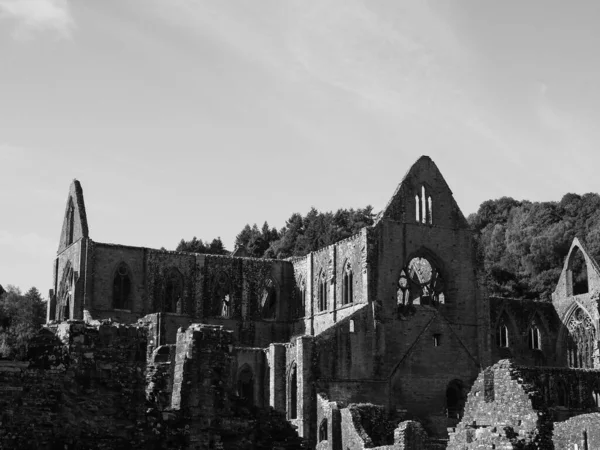 Tintern Abbey Abaty Tyndyrn Welsh Rands Tintern Black White — стокове фото