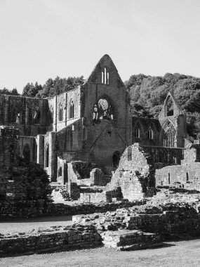 Tintern Abbey (Galce Abaty Tyndyrn) Tintern 'de harabeler, siyah beyaz Uk