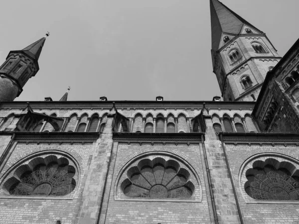 Bonner Muenster Significa Bonn Minster Basílica Iglesia Bonn Alemania Blanco —  Fotos de Stock