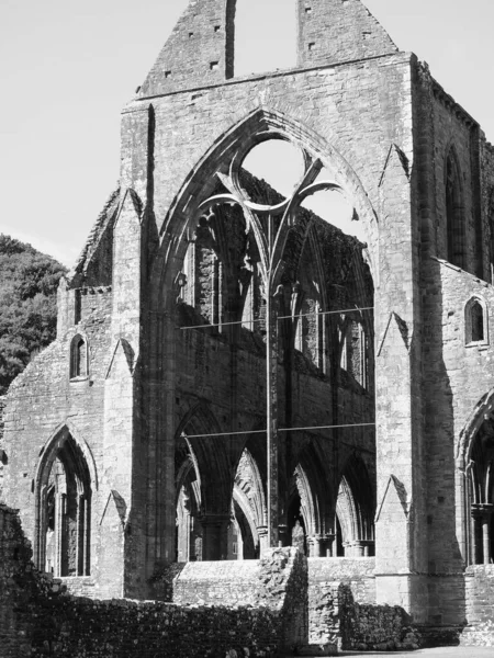 Tintern Circa Září 2019 Zřícenina Kláštera Tintern Abaty Tyndyrn Welsh — Stock fotografie