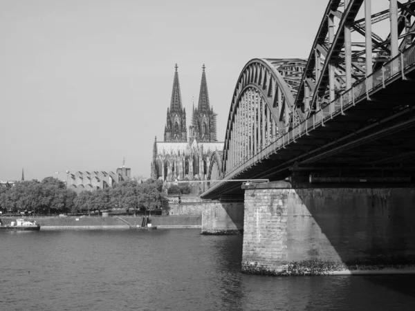 Koeln Alemania Circa Agosto 2019 Vista Del Perfil Urbano Desde —  Fotos de Stock