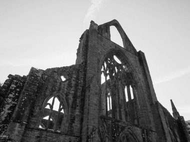 TINTERN, İngiltere - CIRCA SEPTEMBER 2019: Tintern Abbey (Galce Abaty Tyndyrn) harabeleri siyah beyaz