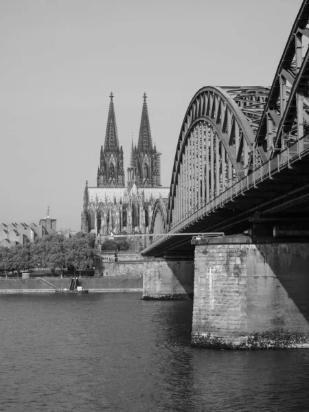 德国科尔恩 2019年8月 城市天际线的黑白相间 — 图库照片