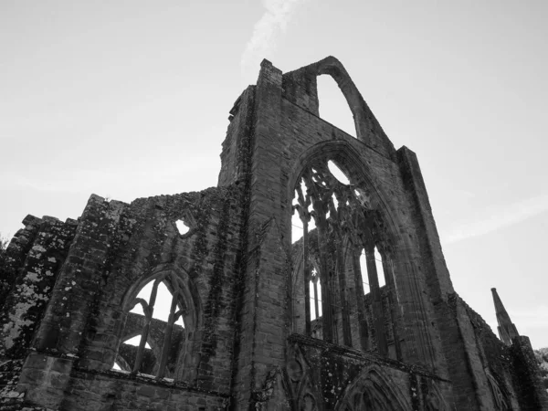 Tintern Circa September 2019 Tintern Abbey Abaty Tyndyrn Welsh Руїни — стокове фото