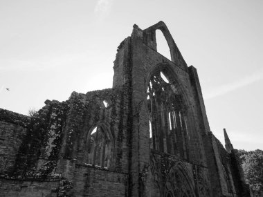 TINTERN, İngiltere - CIRCA SEPTEMBER 2019: Tintern Abbey (Galce Abaty Tyndyrn) harabeleri siyah beyaz