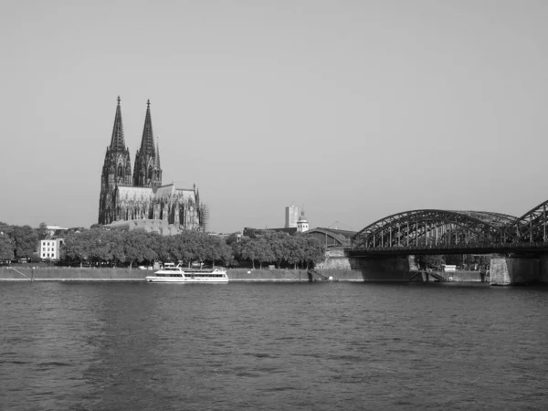 Koeln Germany Circa 8月2019 黒と白の川から都市のスカイラインの景色 — ストック写真