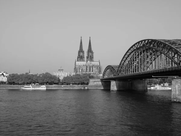 Koeln Germany Circa August 2019 Koelner Dom Sankt Petrus Тобто — стокове фото