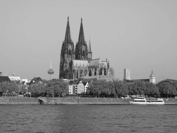 Koeln Γερμανια Circa Αυγουστοσ 2019 Koelner Dom Hohe Domkirche Sankt — Φωτογραφία Αρχείου