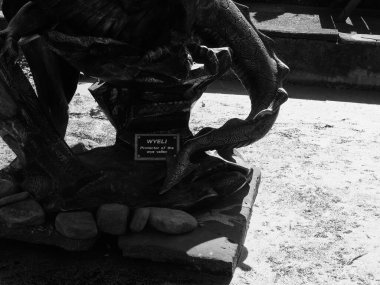 TINTERN, İngiltere - SİRKA EPTEMİ 2019: Wye Vadisi 'nin siyah-beyaz Wyeli Drake Koruyucusu