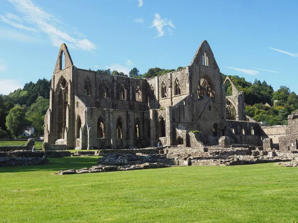 Tertern Circa September 2019 Tintern Abbey Abaty Tyndyrn — ஸ்டாக் புகைப்படம்