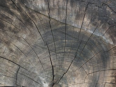 Koyu kahverengi ahşap dokusu arka plan olarak kullanışlı