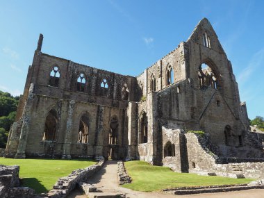 TINTERN, İngiltere - CIRCA SEPTEMBER 2019: Tintern Abbey (Galce Abaty Tyndyrn) harabeleri