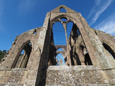 TINTERN, İngiltere - CIRCA SEPTEMBER 2019: Tintern Abbey (Galce Abaty Tyndyrn) harabeleri