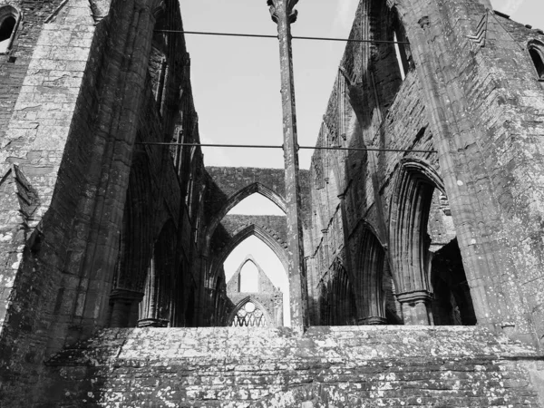 Tintern Storbritannien Circa September 2019 Tintern Abbey Abaty Tyndyrn Walesiska — Stockfoto