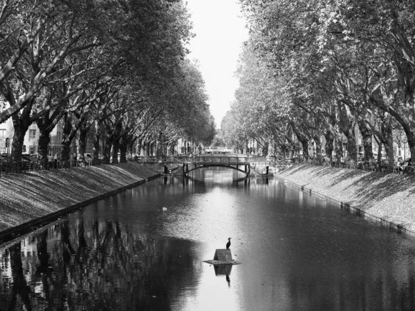 Duesseldorf Alemanha Circa Agosto 2019 Canal Stadtgraben Que Significa Fosso — Fotografia de Stock