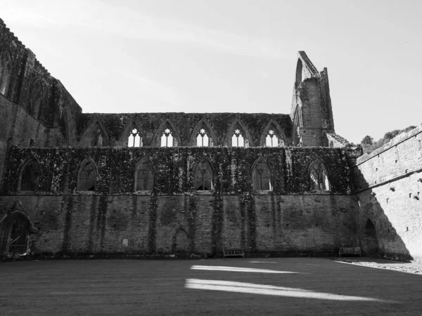 Tintern Reino Unido Circa Septembro 2019 Abadia Tintern Abaty Tyndyrn — Fotografia de Stock