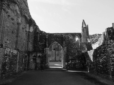 TINTERN, İngiltere - CIRCA SEPTEMBER 2019: Tintern Abbey (Galce Abaty Tyndyrn) harabeleri siyah beyaz