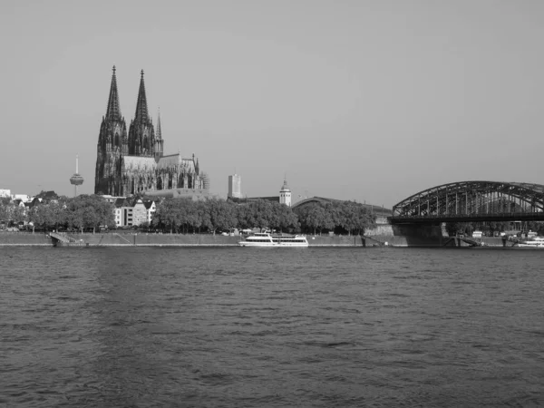 Koeln Circa Augus2018 2019 흰색으로 강에서 도시의 스카이라인을 바라봄 — 스톡 사진