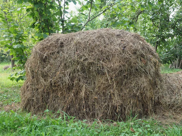 Heuhaufen Auf Einer Wiese Mit Grünem Gras — Stockfoto