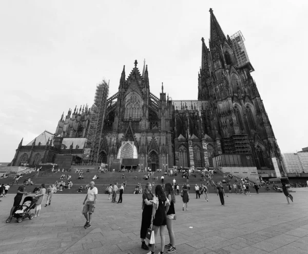 Koeln Kirca August 2019 Kölner Dom Hohe Domkirche Sankt Petrus — Stockfoto