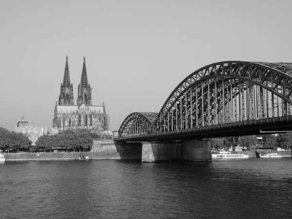 Koeln Γερμανια Circa Αυγουστοσ 2019 Koelner Dom Sankt Petrus Που — Φωτογραφία Αρχείου