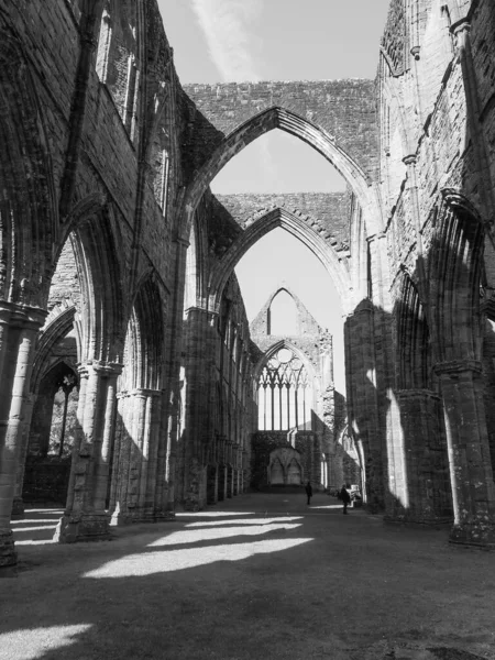 Tintern Circa 2019年9月 ティンバー修道院 ウェールズ語でAbaty Tyndyrn は黒と白の遺跡 — ストック写真