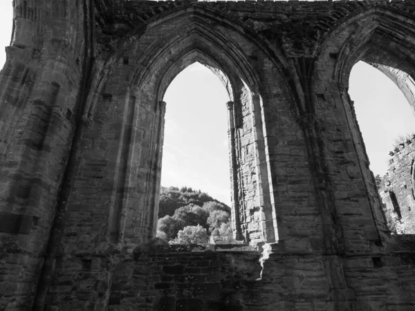 Tintern Storbritannien Circa September 2019 Tintern Abbey Abaty Tyndyrn Walesiska — Stockfoto