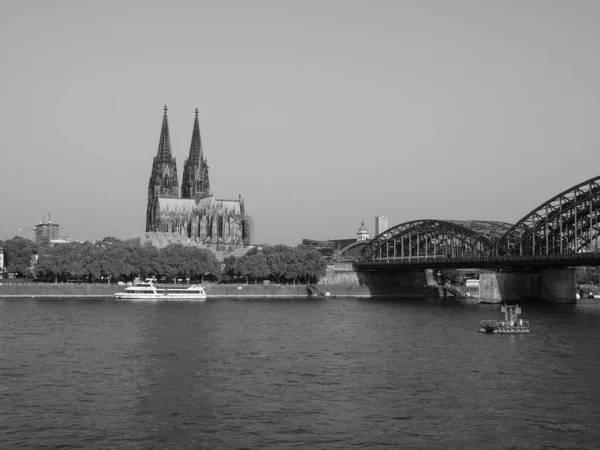 Koeln Alemanha Circa Agosto 2019 Koelner Dom Sankt Petrus Que — Fotografia de Stock