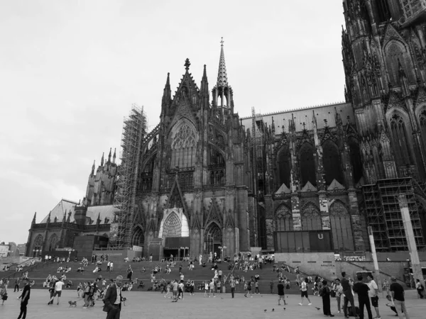 Koeln Γερμανια Circa Αυγουστοσ 2019 Koelner Dom Hohe Domkirche Sankt — Φωτογραφία Αρχείου