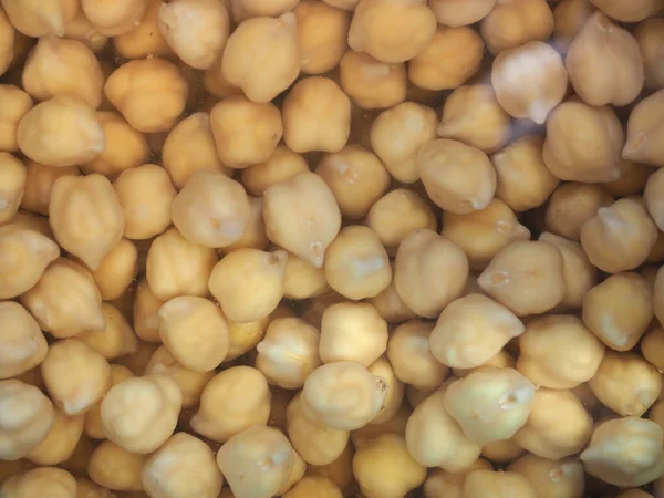 Garbanzos Legumbres Comida Vegetariana Nombre Científico Cicer Arietinum —  Fotos de Stock