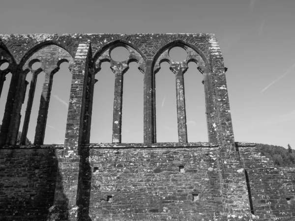 Tintern Storbritannien Circa September 2019 Tintern Abbey Abaty Tyndyrn Walesiska — Stockfoto