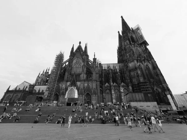 Koeln Německo Circa August 2019 Koelner Dom Hohe Domkirche Sankt — Stock fotografie