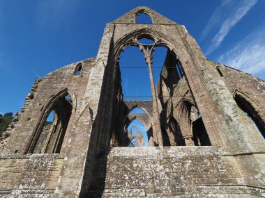 TINTERN, İngiltere - CIRCA SEPTEMBER 2019: Tintern Abbey (Galce Abaty Tyndyrn) harabeleri