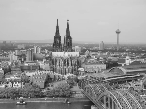 Koeln Deutschland Circa August 2019 Luftaufnahme Der Stadt Schwarz Weiß — Stockfoto