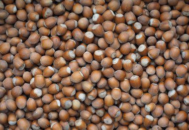 Fındıklı yiyecekler arka plan olarak kullanışlı