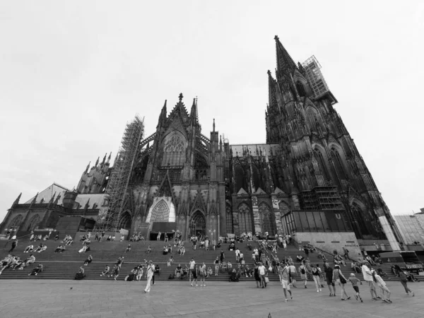 Koeln Alemanha Circa Agosto 2019 Koelner Dom Hohe Domkirche Sankt — Fotografia de Stock