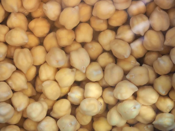 Nohut baklası vejetaryen gıdalar (bilimsel adı Cicer arietinum)