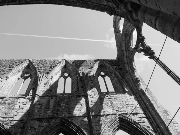 2019年9月 Tintern Circa September Tintern Abbey Abaty Tyndyrn Welsh Ruins — 图库照片