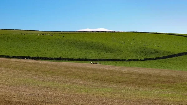 Pokojowa Scena Naturalna Zieloną Łąką Wzgórzami Błękitnym Niebem Przydatna Jako — Zdjęcie stockowe