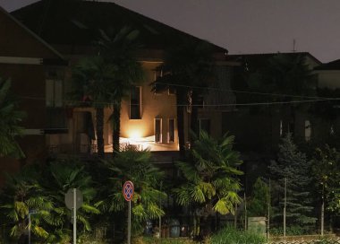 Gecenin karanlığında, palmiye ağaçlarının arasında.