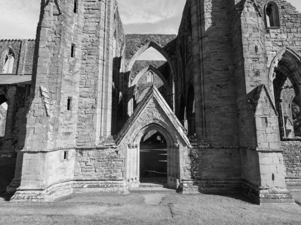 Tintern Circa 2019年9月 ティンバー修道院 ウェールズ語でAbaty Tyndyrn は黒と白の遺跡 — ストック写真