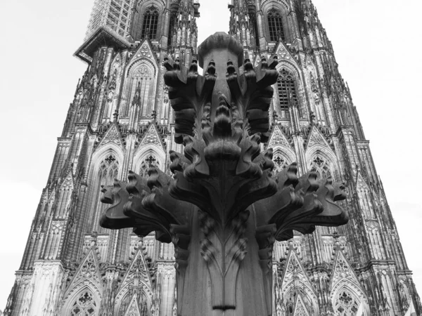 Koeln Germany Circa Ağustos 2019 Katedral Kulelerinin Üstünde Siyah Beyaz — Stok fotoğraf