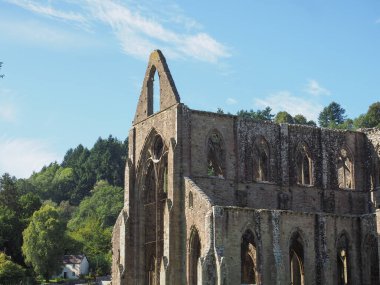 TINTERN, İngiltere - CIRCA SEPTEMBER 2019: Tintern Abbey (Galce Abaty Tyndyrn) harabeleri