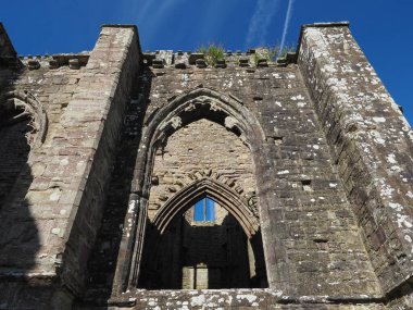 TINTERN, İngiltere - CIRCA SEPTEMBER 2019: Tintern Abbey (Galce Abaty Tyndyrn) harabeleri