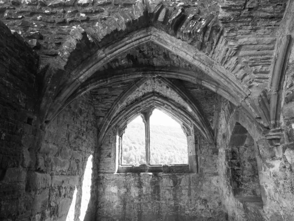 Tintern Royaume Uni Circa Septembre 2019 Ruines Abbaye Tintern Abaty — Photo