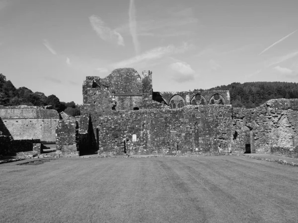 Tintern Circa 2019年9月 ティンバー修道院 ウェールズ語でAbaty Tyndyrn は黒と白の遺跡 — ストック写真