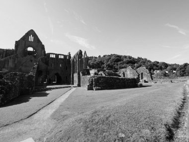 TINTERN, İngiltere - CIRCA SEPTEMBER 2019: Tintern Abbey (Galce Abaty Tyndyrn) harabeleri siyah beyaz